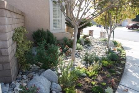 Joyce Warhank - Grand Prize Winner